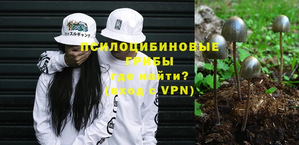 тгк Арсеньев